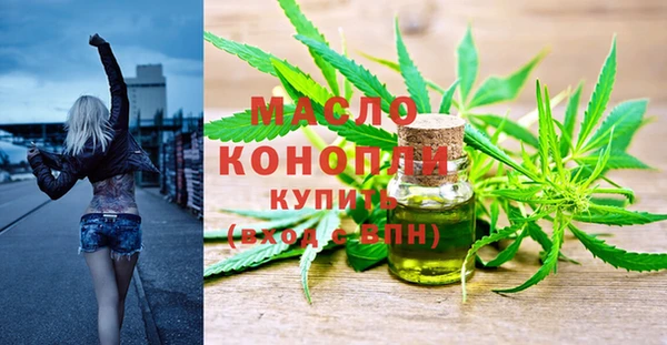 СК Алексин
